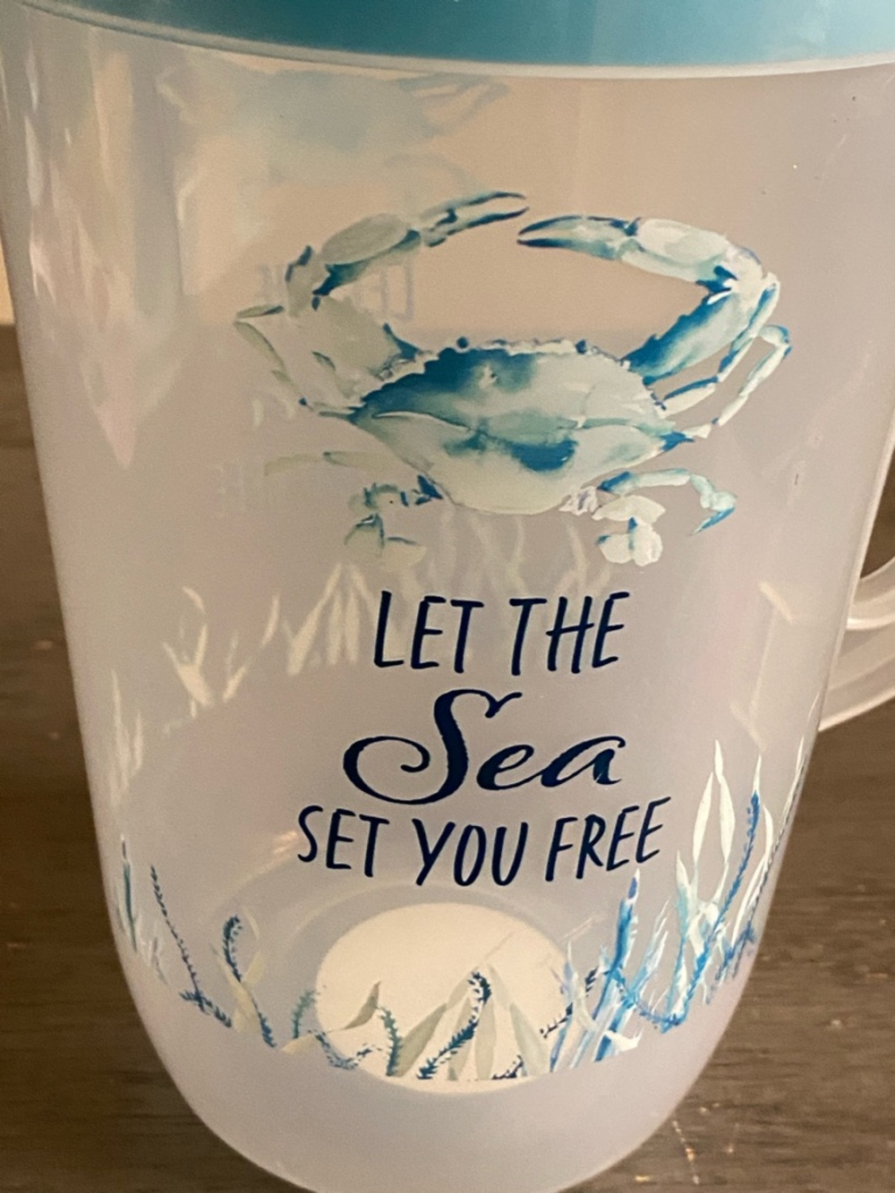 Blue-Lid Ocean Themed Plastic Pitcher - "Let The Sea Set You Free"